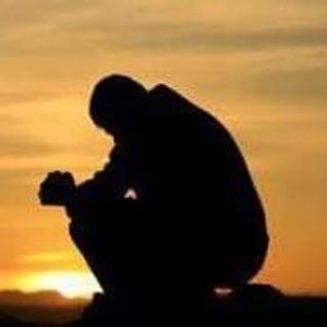 Meet your Posher, Lawrence